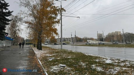 24 ноября в Пензенской области сохранится сильный ветер