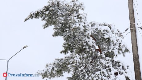 28 ноября жителей Пензенской области ждут холод и снег