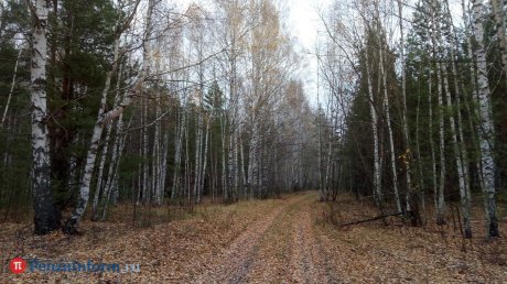 Пензу атаковали 3 беспилотных летательных аппарата