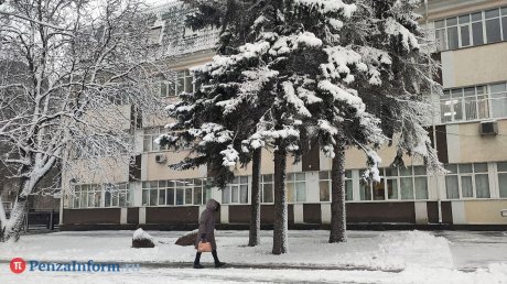 В последний день осени пензенцев ждут туман и холод