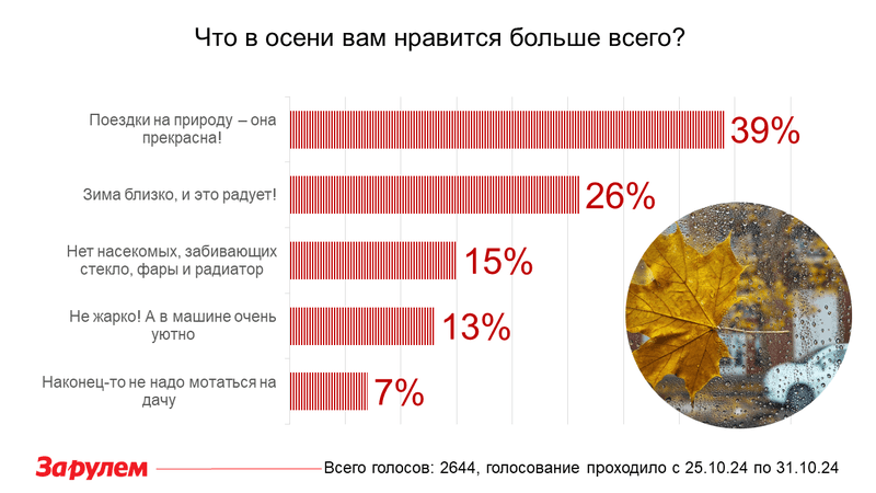 За что водители любят осень? Неожиданные ответы!