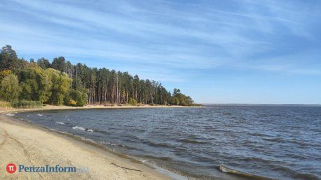 Пензенцев приглашают убрать мусор с берега Сурского водохранилища