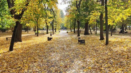 Пензенцев ждут ночные заморозки и порывистый ветер