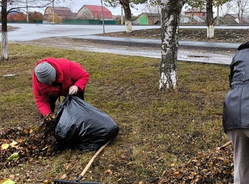 В Пензе провели работы по вывозу более 80 кубометров мусора