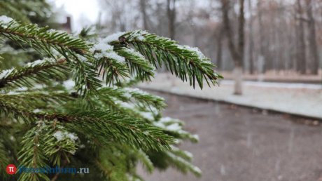 В Пензенской области 4 ноября может пойти мокрый снег