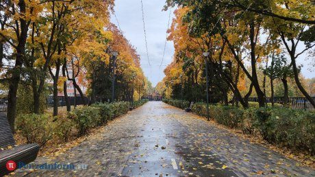 В Пензенской области предстоящая неделя будет ненастной